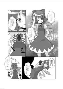 東方TS物語～チルノ編～, 日本語