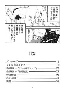 R姉弟 起 ～イルミとヒロキ～, 日本語