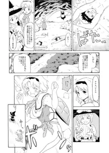 東方浮世絵巻 射命丸文, 日本語