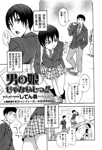 男の娘じゃないしっ!!, 日本語