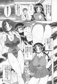 国宝乳娘 茶味, 日本語