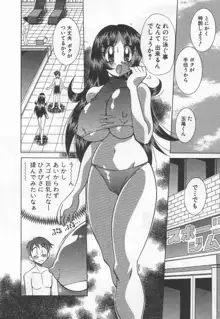 国宝乳娘 茶味, 日本語