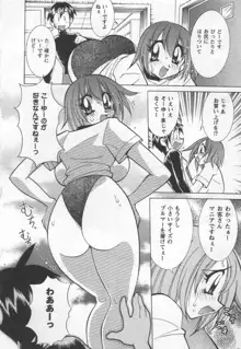 国宝乳娘 茶味, 日本語