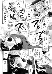 淑女の融点, 日本語