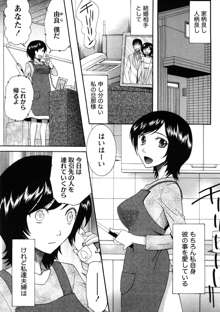 淑女の融点, 日本語