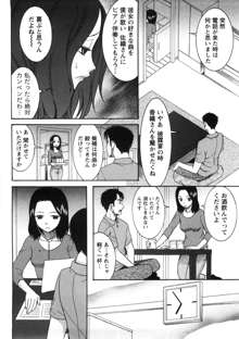 淑女の融点, 日本語