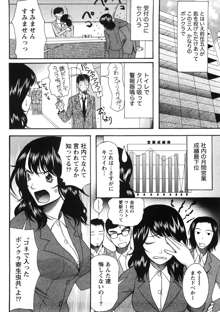 淑女の融点, 日本語