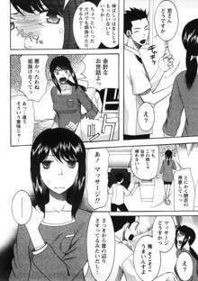 淑女の融点, 日本語