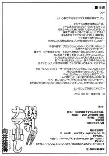 解禁! 爆乳ナマ出し向井拓海, 日本語