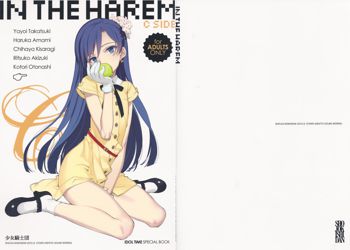 IN THE HAREM C SIDE, 日本語