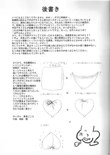 魔理沙のえっちな本, 日本語