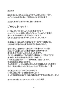 Hな妖夢のおかいもの, 日本語