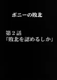 女海賊敗北 総集編, 日本語