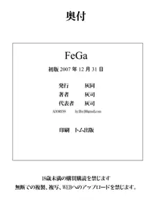 FeGa, 日本語