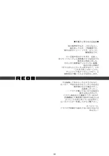 RE08, 日本語