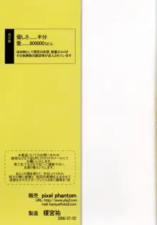 うどんげのくすりB坐剤, 日本語