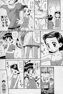 陽だまりの少女, 日本語