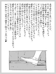 ふたなり少女の射精日記 5, 日本語