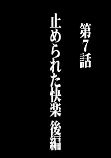 ヴァージントレイン 総集編【下巻】, 日本語