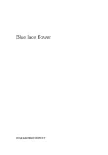 Blue lace flower, 日本語