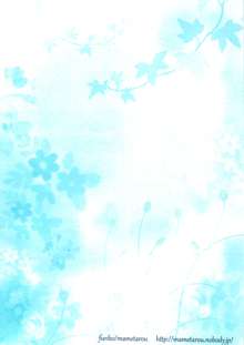 Blue lace flower, 日本語