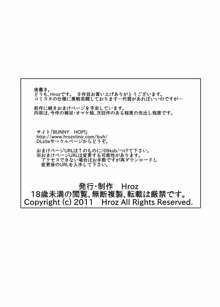 褐色のサキュバスさんと。, 日本語