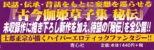 PIECES 9 古今伽姫草子集秘伝, 日本語