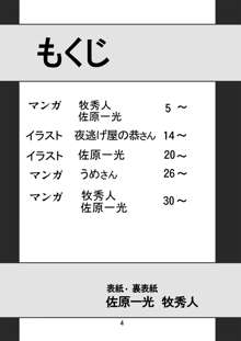 セカンド総新劇 2, 日本語