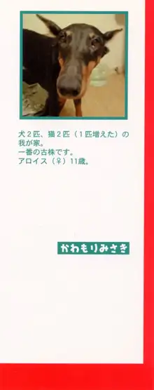 Hにキスして！ 第2巻, 日本語