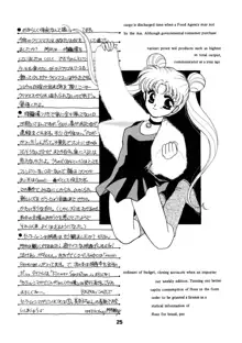 Sailor Moon JodanJanaiyo, 日本語