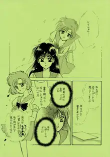 Sailor Moon JodanJanaiyo, 日本語