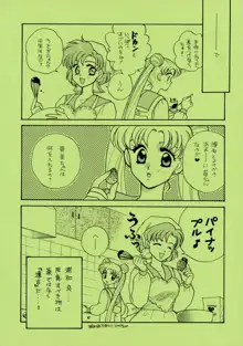 Sailor Moon JodanJanaiyo, 日本語