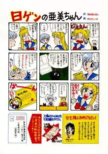 Sailor Moon JodanJanaiyo, 日本語