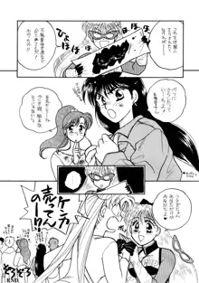 Sailor Moon JodanJanaiyo, 日本語