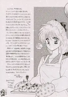 Sailor Moon JodanJanaiyo, 日本語