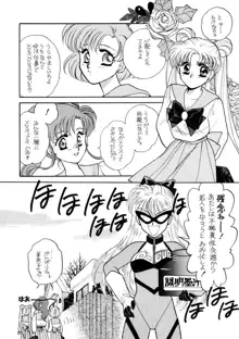 Sailor Moon JodanJanaiyo, 日本語