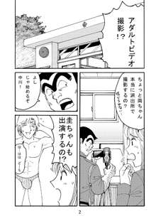 こちハメ, 日本語