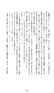 聖龍姫ルーナ 聖なる柔肌に淫魔は群がる, 日本語