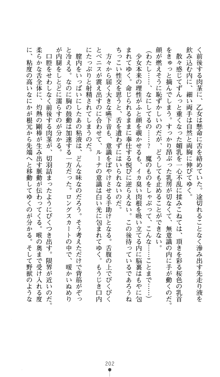 聖龍姫ルーナ 聖なる柔肌に淫魔は群がる, 日本語