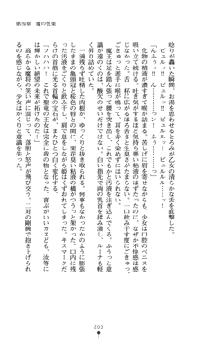 聖龍姫ルーナ 聖なる柔肌に淫魔は群がる, 日本語