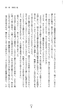 聖龍姫ルーナ 聖なる柔肌に淫魔は群がる, 日本語