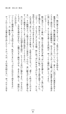 聖龍姫ルーナ 聖なる柔肌に淫魔は群がる, 日本語