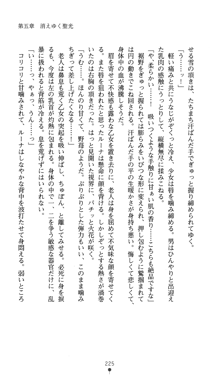 聖龍姫ルーナ 聖なる柔肌に淫魔は群がる, 日本語