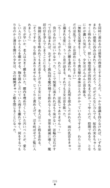 聖龍姫ルーナ 聖なる柔肌に淫魔は群がる, 日本語