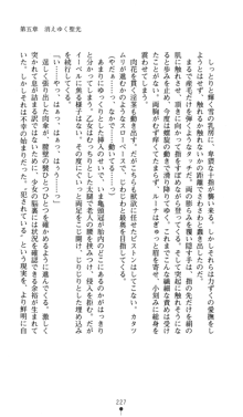 聖龍姫ルーナ 聖なる柔肌に淫魔は群がる, 日本語