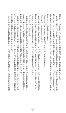 聖龍姫ルーナ 聖なる柔肌に淫魔は群がる, 日本語