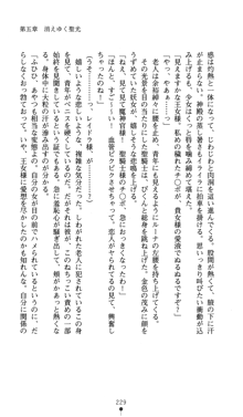 聖龍姫ルーナ 聖なる柔肌に淫魔は群がる, 日本語