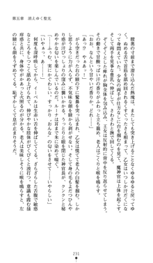 聖龍姫ルーナ 聖なる柔肌に淫魔は群がる, 日本語