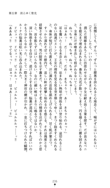 聖龍姫ルーナ 聖なる柔肌に淫魔は群がる, 日本語