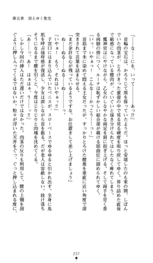 聖龍姫ルーナ 聖なる柔肌に淫魔は群がる, 日本語